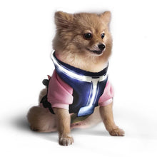 Load image into Gallery viewer, DC'S REMOTE CONTROL LED PET HARNESS