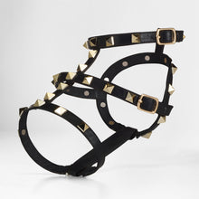 Load image into Gallery viewer, STRAPLETS VEGAN LEATHER SHOE ACCESSORY W/ MICROFLEECE TRAVEL POUCH