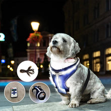 Load image into Gallery viewer, DC'S REMOTE CONTROL LED PET HARNESS
